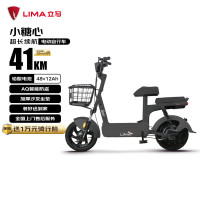 PLUS会员、移动端、京东百亿补贴：立马电动车 电动自行车 油光黑