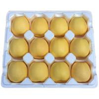 鲜级佳山东烟台黄元帅奶油粉面苹果黄金帅黄香蕉新鲜当季中秋水果 精选品质果70-75mm净重4.5-5斤