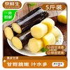 京鲜生 广西黑皮甘蔗 净重5斤装 脆甜多汁 生鲜水果 源头直发包邮
