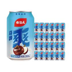 杨协成 马蹄爽 荸荠饮料300ml*24罐