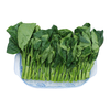 GREENSEER/绿鲜知 供港芥兰 叶菜类 400g