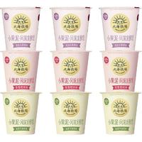 LAND OF PROMISE 北海牧场 小果泥酸奶黑加仑味+草莓樱桃味+香蕉牛油果味道100g*9杯