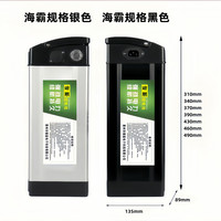天能 48V/60V通用 折叠电动车锂电池