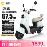 金箭 灵彩 JJ800DQT-9 电动摩托车 60V20AH 800W