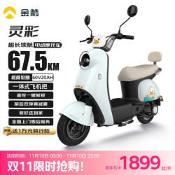 金箭 灵彩 JJ800DQT-9 电动摩托车 60V20AH 800W