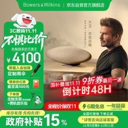 宝华韦健 Zeppelin Pro 6代 蓝牙音箱  太空灰
