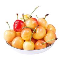 梓颐黄蜜樱桃车厘子【空运】山东/大连黄水晶甜黄樱桃新鲜水果礼盒装 5斤(净重) 精选商超果