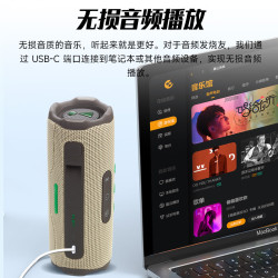 JBL FLIP7 便携式蓝牙音箱 多台串联 防水防尘设计 独立高音单元 赛道扬声器 音乐万花筒7代