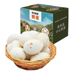 保卫蛋蛋 新鲜鹅蛋6枚孕妇宝宝放心吃