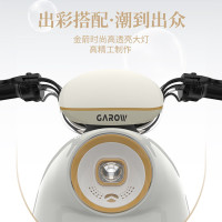 国家补贴：金箭 电动摩托车灵彩60V20AH铅酸电池长续航800W大动力灵动踏板电摩电动车 独角兽