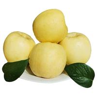 甜醉了 奶油富士脆甜烟台苹果黄金富士山东水果栖霞红富士应季丑苹果 净重5斤75-80mm