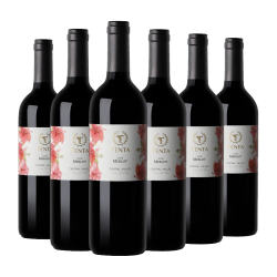 天帕 花标 梅洛 干红葡萄酒 2019年 750ml*6瓶 整箱装 赠海马刀