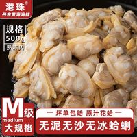 丹东蛤蜊肉无冰冻煮肉冷冻海鲜无泥无沙熟冻肉发货 500ml