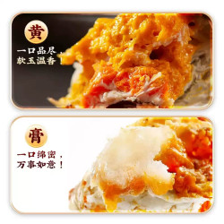 苏状元 大闸蟹鲜活螃蟹官方旗舰店全母蟹现货大闸蟹礼盒毛蟹活螃蟹