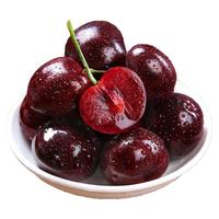京觅四川汉源黑珍珠大樱桃/车厘子JJ级净重2.8斤源头直发 2.8斤(净重)