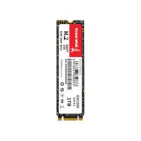 Great Wall 长城 GW1000系列  SATA M.2 固态硬盘