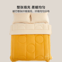 百丽丝 水星集团旗下 被子抗菌大豆纤维被春秋被四季被冬被秋冬保暖被芯 大豆春秋被 200cm