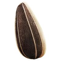 ChaCheer 洽洽 香瓜子炒货恰恰五香味瓜子葵花籽小零食独小包装