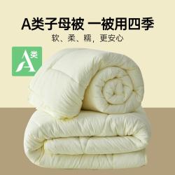 多喜爱 A类二合一子母被 纤维被芯 磨毛水洗被子 四季通用