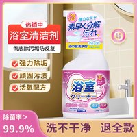 海布森 HAIBUS 浴室清洁洗剂强力去污除垢神器家用卫生间浴室汽车玻璃镜面瓷砖 浴室清洁剂500ml 500ml