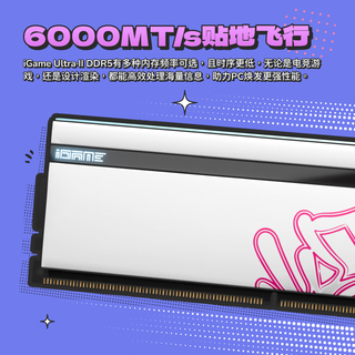  COLORFUL/七彩虹 RGB灯条 台式机内存  16GB*2 32GB