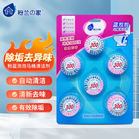 粉兰之家 洁厕宝 蓝泡泡厕所马桶清洁剂厕所除垢去渍除臭洁厕灵块 50g*6