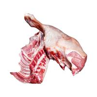 伊民康洋宁夏滩羊肉 生鲜整半只羊 原切羊排羊腿羊蝎子烧烤火锅食材礼盒清 4斤羊后腿+4斤羊排