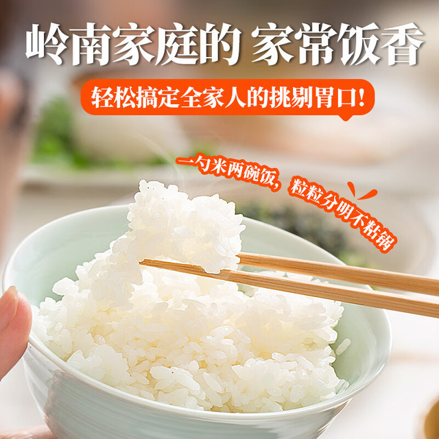 PLUS会员：挂绿 南方丝苗米 10斤