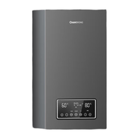 CHANGHONG 长虹 一级能效家用燃气壁挂炉