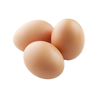 故乡食召 鸡蛋 散养谷物蛋 农家喂养 初生鲜鸡蛋 12枚 600g 40枚 1600g