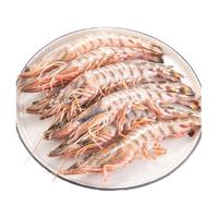 九节虾斑节虾大虾鲜活速冻 海虾斑节虾竹节虾黑虎虾新鲜虾基围虾