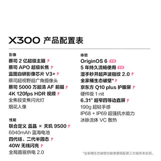 vivo X300 蔡司2亿主摄 惬意紫 16GB+256GB 手机