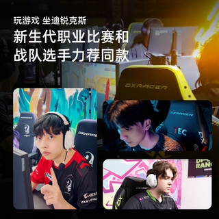 迪锐克斯 漂移系列 迪锐克斯人体工学电脑椅  / 尼龙脚