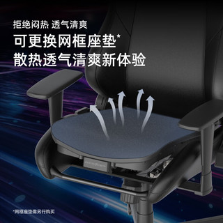 迪锐克斯 漂移系列 迪锐克斯人体工学电脑椅  / 尼龙脚