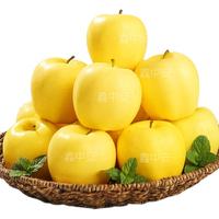 京觅山东维纳斯黄金苹果水果奶油苹果 净重5斤单果150g起 源头直发