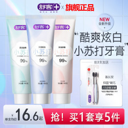 舒客 牙膏清新口气专用 4种功效140g*1支+ 120g*3支 （共500g）