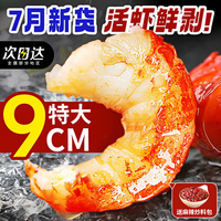 渔吻 龙虾尾冷冻鲜活小龙虾无冰衣龙虾尾特级大号虾球鲜冻生鲜 精品龙虾尾 净重3斤