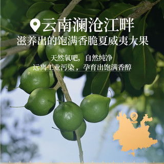 良品铺子 夏威夷果 奶香味 28mm+大果径 1000g 罐装