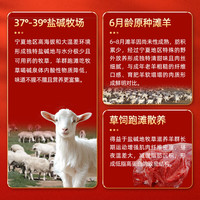 仲亨记宁夏滩羊肉 生鲜羊排羊肋排 羔羊小排 可做手抓羊排 烧烤食材 【散养乳羔羊】寸排