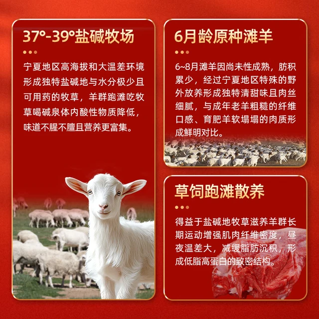 仲亨记宁夏滩羊肉 生鲜羊排羊肋排 羔羊小排 可做手抓羊排 烧烤食材 【散养乳羔羊】寸排