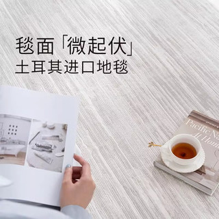 范嘉伦（VanCalen）地毯客厅灰色轻奢高级简约大气房间卧室家用商用土耳其 平澜 2.4m*3.4m