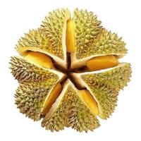 晨臻泰国金枕头榴莲鲜果 新鲜水果 软糯香甜 带箱4-5斤精品果(净重3-4斤)