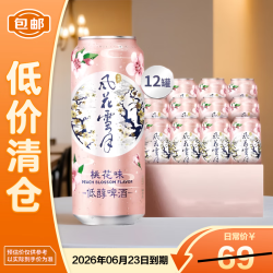 风花雪月 桃花味低醇啤酒 500ml*12罐