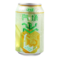 宏宝莱汽场菠萝凤梨味果汁汽水330ml0脂果味碳酸饮料 凤梨味果汁汽水330ml*12罐