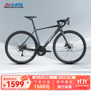 喜德盛 公路自行车2025款RC300碟刹走线车架 16速 灰黑色 440MM