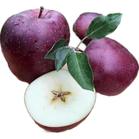 京觅 甘肃天水黑卡苹果4.5斤装 单果80mm+ 黑苹果源头直发  4.5斤装单果80mm+