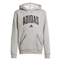 adidas男女大童休闲抓绒连帽卫衣秋季新款阿迪达斯官方轻运动   中麻灰/黑色   1