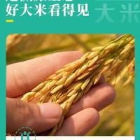 泽饶 东北珍珠米 2.5kg 大米