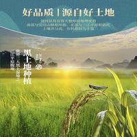 饶河县东北长粒香2.5kg5斤大米黑龙江真空包装粳米2025年新米