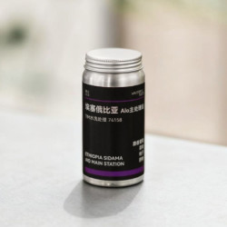 饕选咖啡 埃塞 alo tim水洗 45g